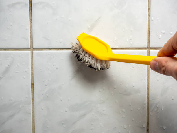 Professional Mold Removal in Montauk, NY
